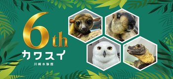 カワスイは6周年！ヒマラヤマーモットが新たに仲間入り新展示続々！お得な「1DAY PASS」も登場