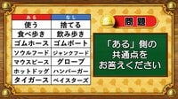 【おめざめ脳トレ】あるなしクイズ！「ある」側の共通点はなんでしょうか？【『クイズ！脳ベルSHOW』より】