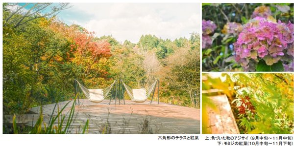 ROKKO森の音ミュージアム SIKIガーデンAutumn Season 紅葉の見頃
