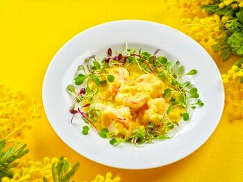 【都ホテル 尼崎】「国際女性デー｜HAPPY WOMAN FESTA 2026」女性の#HAPPYを応援　ハッピーイエローを取り入れたメニューや宿泊プランを販売