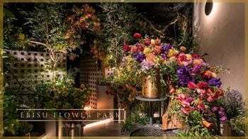 【EBISU FLOWER PARK】新店舗の進捗、および現在のオープン状況についてのお知らせ