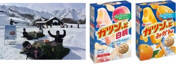 雪山のこたつで「ガツン、とみかん」！！ ゴロゴロ果肉で冬の贅沢な果実体験！ 2月23日（月）新発売「ガツン、と白桃」の先行試食も実施します♪