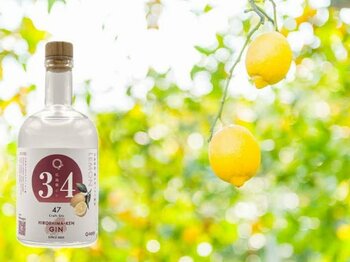 瀬戸田のレモンを使った「広島県ジン by agataJapan」発売のお知らせ