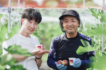 65歳からいちじく農家を始めた梶谷ファームと三朝ヨーグルトがコラボ。「いちじくヨーグルト」今シーズンの販売を開始