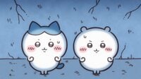 アニメ『ちいかわ』　第366話「車動画／拒否するか」