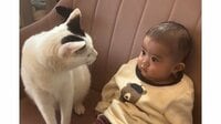 「親の顔してる！」“親分”猫の0歳男の子への“愛情深い行動”に反響！毛布の上でまるで子守をする姿に「お世話が上手」【激かわキッズ＆アニマル奇跡の瞬間】