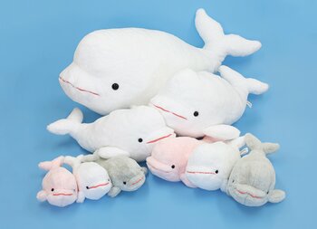 【鴨川シーワールド】ベルーガ飼育50周年を記念して遂に登場！1等は大きさ約82cm！ハズレなし！サラふわ触感「ベルーガくじ」登場！！