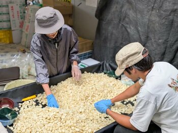 【徳島県鳴門市】「おてつたび」×「鳴門市」～「半農半X」推進シェアハウス事業～