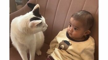「親の顔してる！」“親分”猫の0歳男の子への“愛情深い行動”に反響！毛布の上でまるで子守をする姿に「お世話が上手」【激かわキッズ＆アニマル奇跡の瞬間】