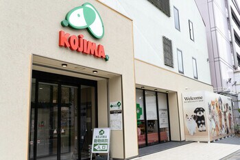 ペットの専門店コジマ 横浜本牧店がグランドオープン！新しくなった店舗でペットとの暮らしをトータルサポート