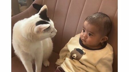 「親の顔してる！」“親分”猫の0歳男の子への“愛情深い行動”に反響！毛布の上でまるで子守をする姿に「お世話が上手」【激かわキッズ＆アニマル奇跡の瞬間】