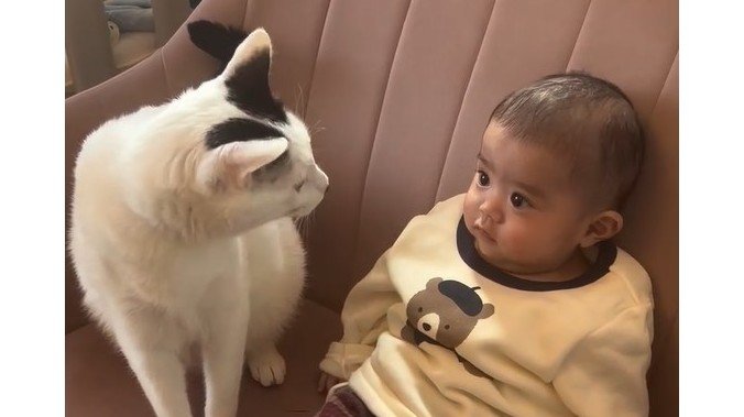 「親の顔してる！」“親分”猫の0歳男の子への“愛情深い行動”に反響！毛布の上でまるで子守をする姿に「お世話が上手」【激かわキッズ＆アニマル奇跡の瞬間】