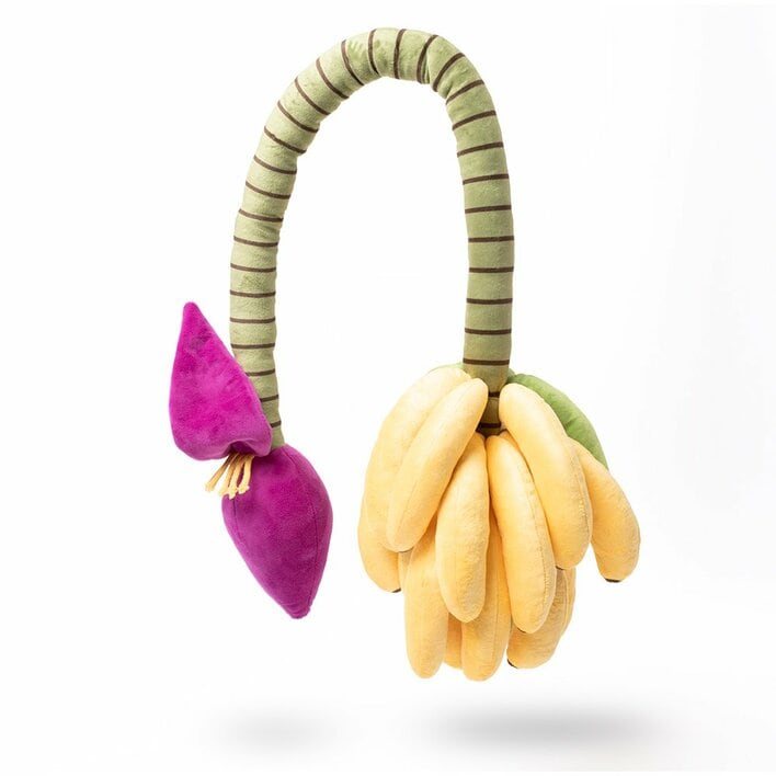 科博初テーマの特別展「生きものたちの性」オリジナルグッズが解禁　バナナの花序や染色体がぬいぐるみに！？ユニークすぎるアイテムの数々