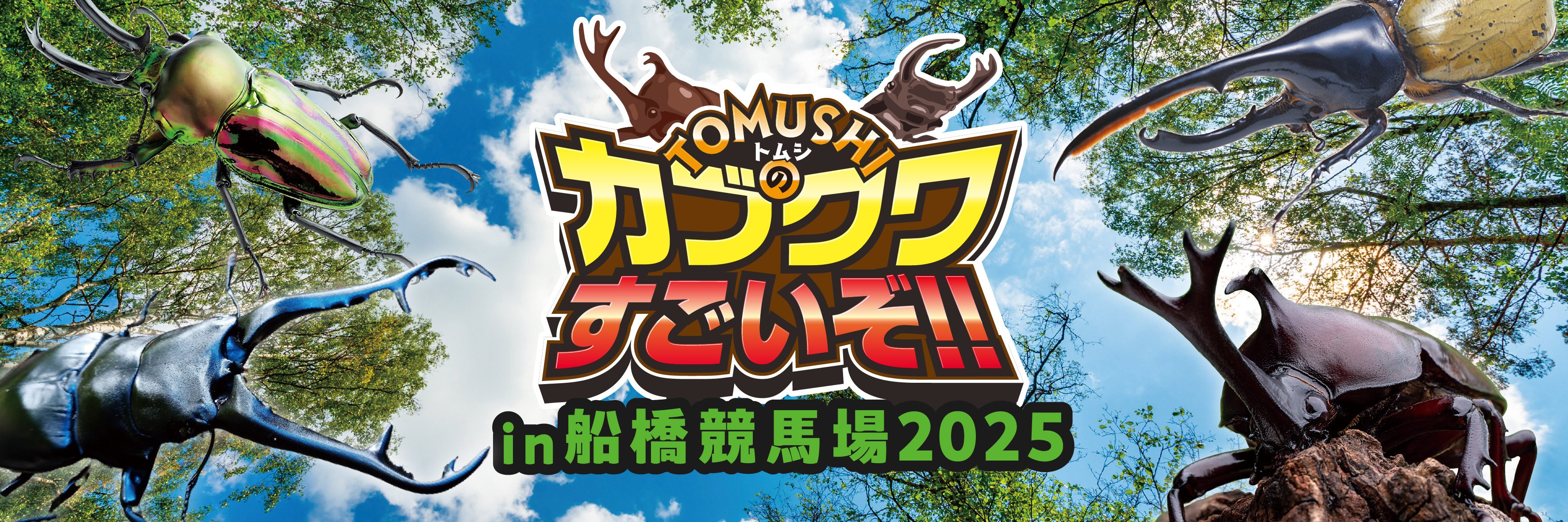 世界のカブトムシ・クワガタムシが大集合!!「TOMUSHI のカブクワ