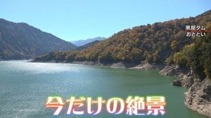 【今だけの絶景】日本全国「週末に行きたい紅葉スポット」を総力取材！日光・雲取山・牧歌の里・立山黒部…あなたが行きたいのは？