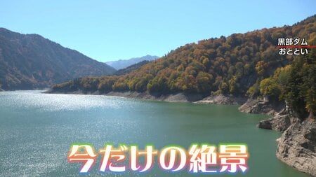 【今だけの絶景】日本全国「週末に行きたい紅葉スポット」を総力取材！日光・雲取山・牧歌の里・立山黒部…あなたが行きたいのは？