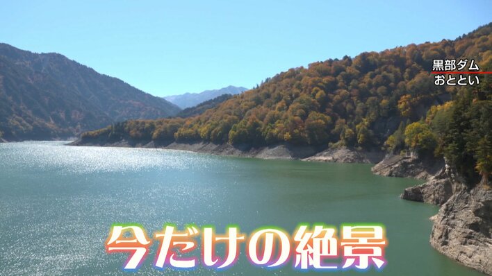 【今だけの絶景】日本全国「週末に行きたい紅葉スポット」を総力取材！日光・雲取山・牧歌の里・立山黒部…あなたが行きたいのは？