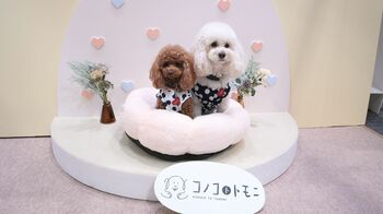 ペットフードブランド「コノコトトモニ」がインターペット大阪に初出展｜来場者数30,434名を記録した会場で多くのわんちゃん・飼い主様と交流