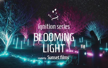 今年もぐんま三大梅林・秋間梅林で『BLOOMING LIGHT(R)』開催！幻想的な梅林のライトアップと独自開発ランタンが生み出す新感覚ナイトウォーク