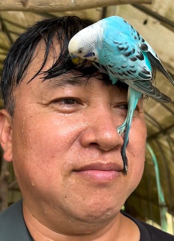 img_5ec538e146fb057e5e3d4eebe1