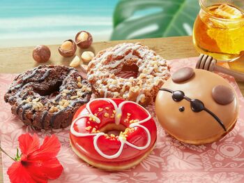 クリスピー・クリームでハワイ気分が味わえる！ハイビスカスや日焼けしたクマをイメージしたドーナツなどが登場