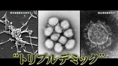 ウイルス　インフルエンザ⑧　手作り　アート　粘土細工　無着色 警戒】インフルエンザが“最も早い流行”…熱がでない“隠れインフル”に要