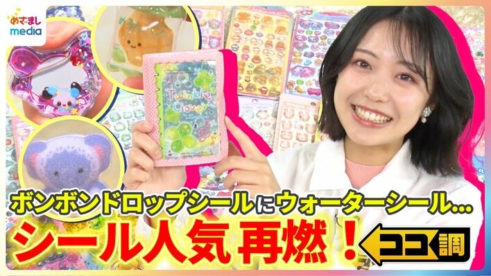 【動画】ボンボンドロップシールにウォーターシール…平成女児ブームでシール人気が再燃！シール交換は「レートで頭使う」大人もハマる”主婦のシール帳”とは？【ココ調】