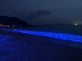 10/17（土）～19（月）NIGHT WAVE光の波プロジェクトin水晶浜で五感を呼び覚ますマインドフルネス体験、若狭みはまの秋夜に溶け込む、光と波の幻想世界へ