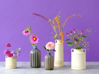 紅葉を待つだけじゃない。深まる季節を映したような花々で、ひと足早く暮らしに秋を取り入れて。