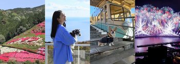 【熱海市】しだれ桜にバラ、つつじ、温泉、花火、愛犬旅も。2026年4月の熱海旅おすすめ情報