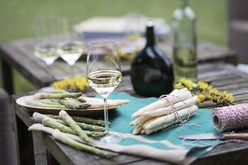 ホテルグランバッハ東京銀座｜ドイツワイン・クイーン来日特別イベント「ドイツワインの夕べ 2026」を開催