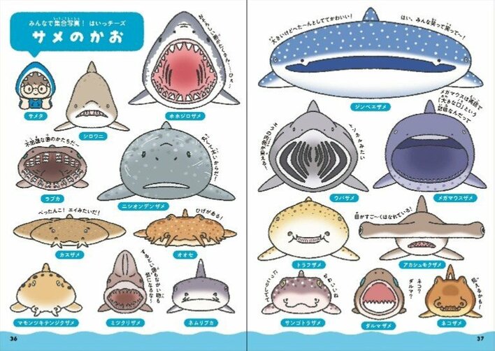 【画像6枚】尾びれも模様も様々！かわいすぎる『サメくらべ図鑑』　を写真で見る