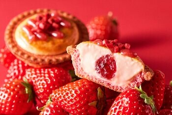 【毎年人気】BAKEの苺がアップデートして今年も登場！福岡県産「あまおう」たっぷりの “濃苺”♪ 果肉感たっぷり「焼きたてタルト 濃苺チーズ」