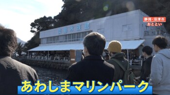 人気アニメの聖地「あわしまマリンパーク」客殺到で閉園日が異例の延期に