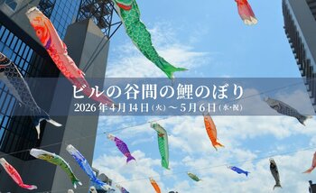 梅田スカイビルの谷間を泳ぐ、色とりどりの希望。地元の子どもたちが描く鯉のぼりを含め、今年は約150匹が春の空を彩る。