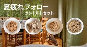 POCHI《夏疲れフォロー》疲れた体を労わるレトルトセットのご紹介