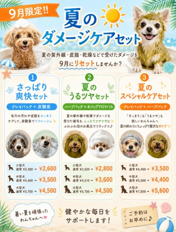 【西大井店】9月限定!!️夏のダメージケアセット🏖☀️