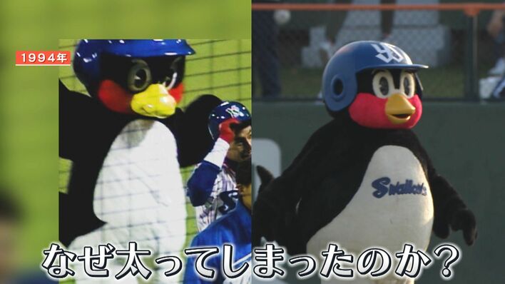 直撃！つば九郎30周年 “知られざる変化”とは？ 目標は「すぽると