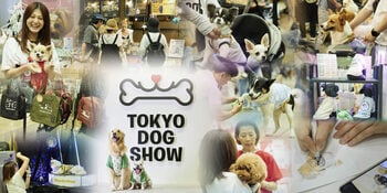 愛犬との暮らしを楽しむ展示・体験型イベント「東京ドッグショー2026」6月26日（金）より幕張メッセで開催