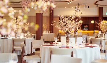 【札幌】1,000坪の日本庭園に桜が咲く6日間限定　創業80周年のエルムガーデン、琴の生演奏付きランチ会席を開催