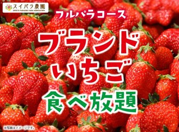 【スイパラでいちご狩り】旬の国産ブランドいちごが食べ放題！春休みはフルパラコースでいちごを好きなだけ