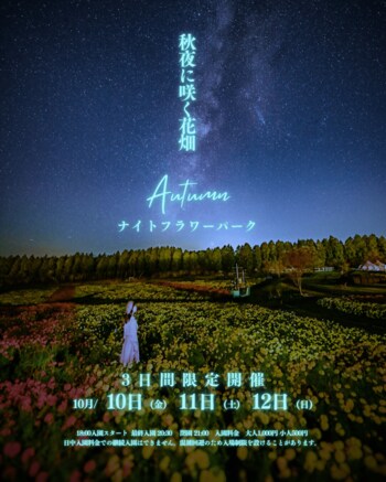 幻想的な秋夜に咲く花畑　―秋限定ナイトフラワーパーク開催―