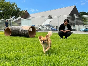 【北湯沢　ホロホロ山荘】大好評の「天然芝ドックランオープン記念プラン」延長決定！