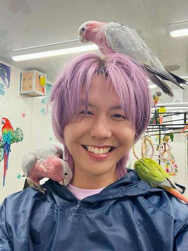 ミセス藤澤涼架 紫の髪色で“鳥と一体化”！？「涼ちゃんどれ？」動物