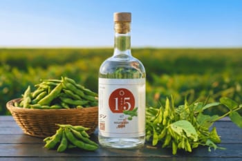 おいしすぎて“幻の枝豆”と呼ばれる新潟県 弥彦村産の規格外「茶豆」をアップサイクルした『新潟県ジン』12月9日（火）より一般販売開始