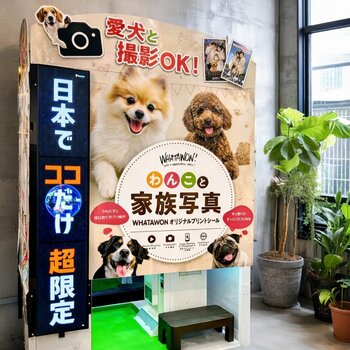 【日本でココだけ！？】愛犬と撮れるプリ体験！撮ってすぐシール完成の新体験をWHATAWONで【大阪・岸和田】