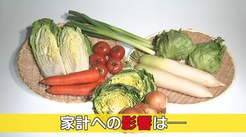 野菜が高すぎて食べられない！？ニンジン価格は“2倍”に！野菜高騰はいつまで続くのか？専門家に取材