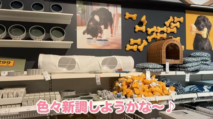 新居引っ越し】板野友美 IKEAで“爆買い”！約10万円82点の商品
