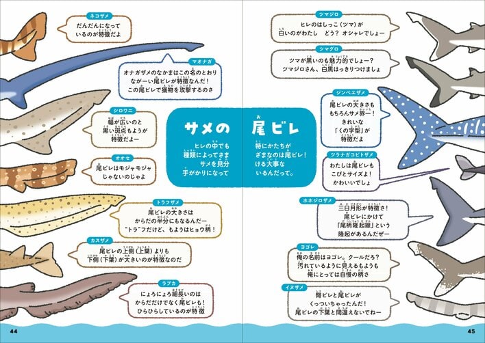 日本一のサメ水族館が監修！かわいすぎる『サメくらべ図鑑』が7月3日