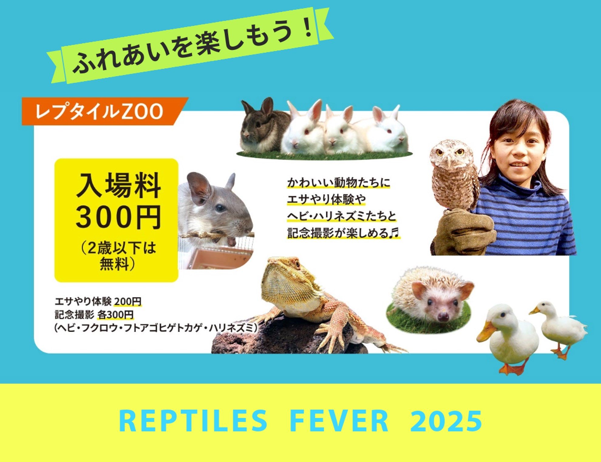 【中古】 超権力グローバル・ゲーム 爬虫類ＤＮＡと人類支配の秘密/工学社/笹川英資 今週末開催！【レプタイルズフィーバー2025】7/5(土)・6(日)は